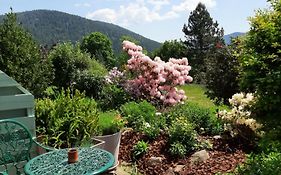 B&B Chalet L'Epinette